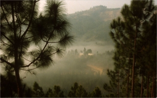 Ensuring biodiversity for systematic and sustainable food systems transformation 